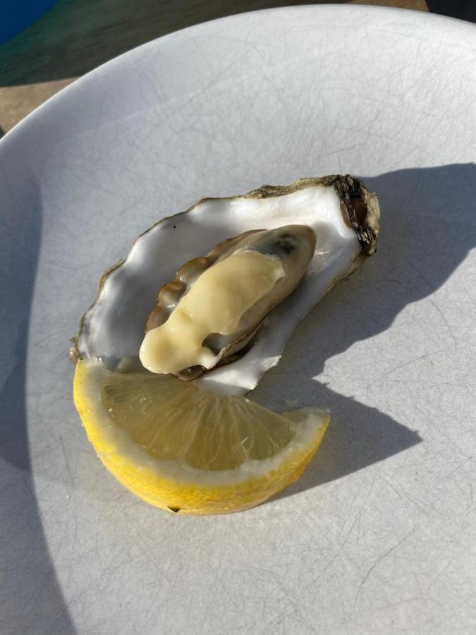 Vakantiewoning Scheldestraat 23 Zoutelande, Dicht Bij Domburg Bagian luar foto